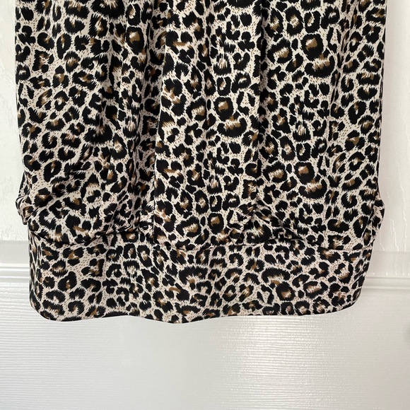 Leopard Print Dress - Picture 4 of 6